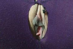 1_WWW.AXSEXYIRANI.COM72008