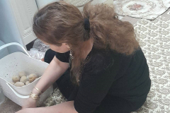 1_WWW.AXSEXYIRANI.COM72159