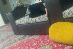 1_WWW.AXSEXYIRANI.COM72873