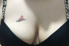 1_WWW.AXSEXYIRANI.COM74290