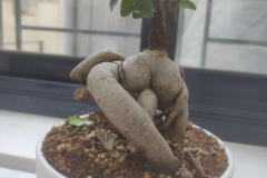 1_WWW.AXSEXYIRANI.COM74967