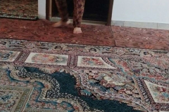 1_WWW.AXSEXYIRANI.COM75341