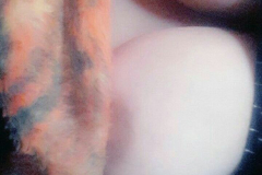 1_WWW.AXSEXYIRANI.COM77663