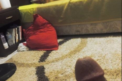 1_WWW.AXSEXYIRANI.COM79256