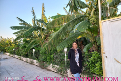 1_WWW.AXSEXYIRANI.COM79811