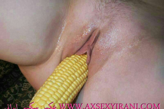 1_WWW.AXSEXYIRANI.COM80704