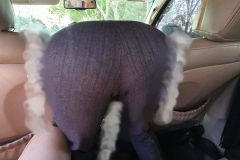 1_WWW.AXSEXYIRANI.COM81616