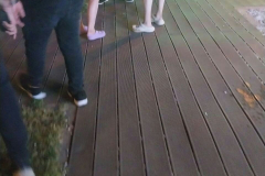 1_WWW.AXSEXYIRANI.COM81804