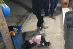 1_WWW.AXSEXYIRANI.COM82871