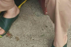 1_WWW.AXSEXYIRANI.COM83194