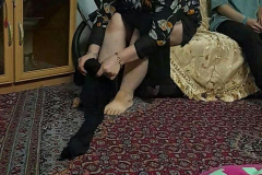 1_WWW.AXSEXYIRANI.COM83432