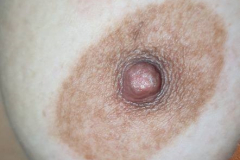 1_WWW.AXSEXYIRANI.COM83906