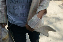 1_WWW.AXSEXYIRANI.COM85091