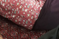 1_WWW.AXSEXYIRANI.COM85537