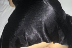 1_WWW.AXSEXYIRANI.COM85936