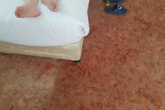 1_WWW.AXSEXYIRANI.COM86363