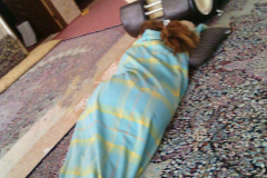 1_WWW.AXSEXYIRANI.COM86965