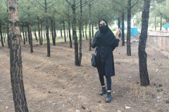 1_WWW.AXSEXYIRANI.COM87342