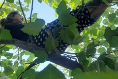 1_WWW.AXSEXYIRANI.COM87644