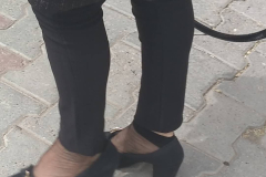 WWW.AXSEXYIRANI.COM22645