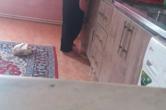 WWW.AXSEXYIRANI.COM23486