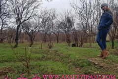 WWW.AXSEXYIRANI.COM31035