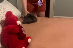 WWW.AXSEXYIRANI.COM33489