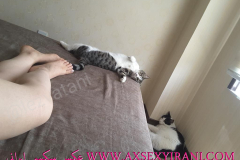 WWW.AXSEXYIRANI.COM34317