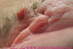 WWW.AXSEXYIRANI.COM39780