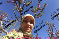WWW.AXSEXYIRANI.COM48806