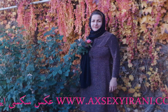 WWW.AXSEXYIRANI.COM49038
