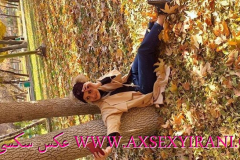 WWW.AXSEXYIRANI.COM54635