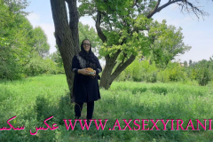 WWW.AXSEXYIRANI.COM59288