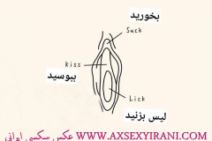 WWW.AXSEXYIRANI.COM64129